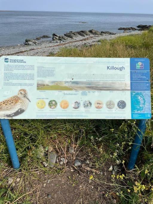Mourne View Villa Killough Bagian luar foto